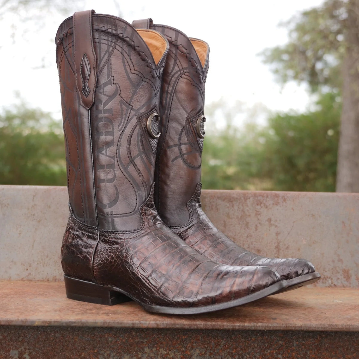 Cuadra on sale crocodile boots