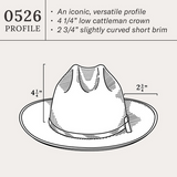 Stetson 6x Open Road Silverbelly