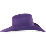 Stone 100X Women Cowboy Felt Hat with Feathers Purple