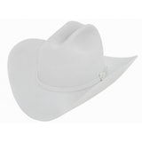 10x Larry Mahan Jerarca Fur Felt Cowboy Hat Platinum - RR Western Wear, 10x Larry Mahan Jerarca Fur Felt Cowboy Hat Platinum